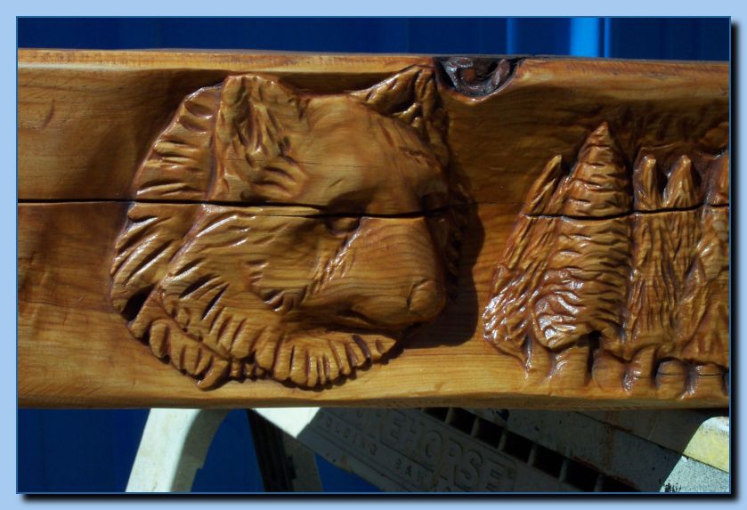2-12 mantel raccoon-archive-0020
